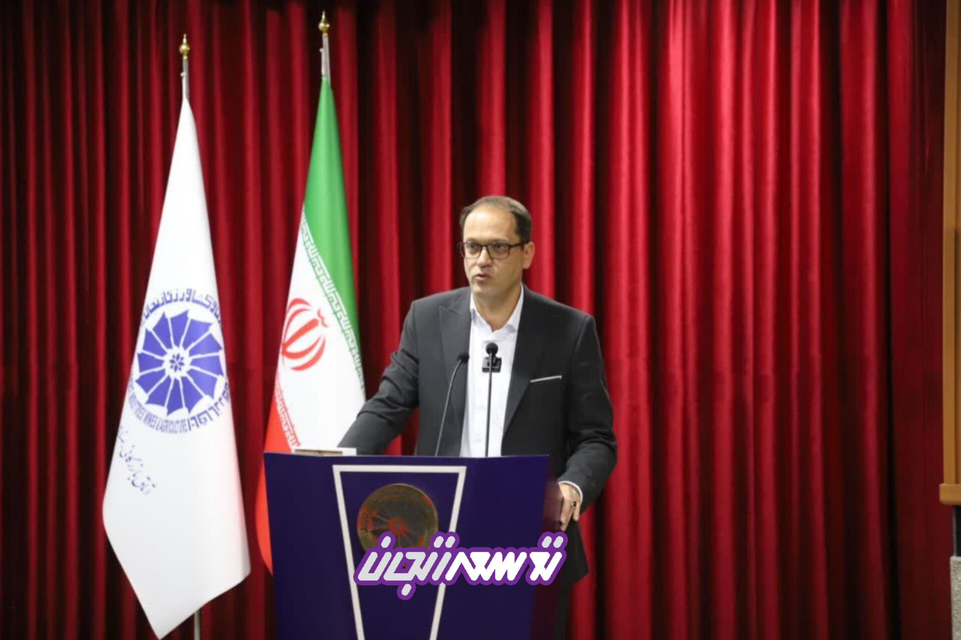 فرش زنجان در انتظار احیا؛ مطالبه حمایت و جایگاه مستقل در ساختار وزارت صمت