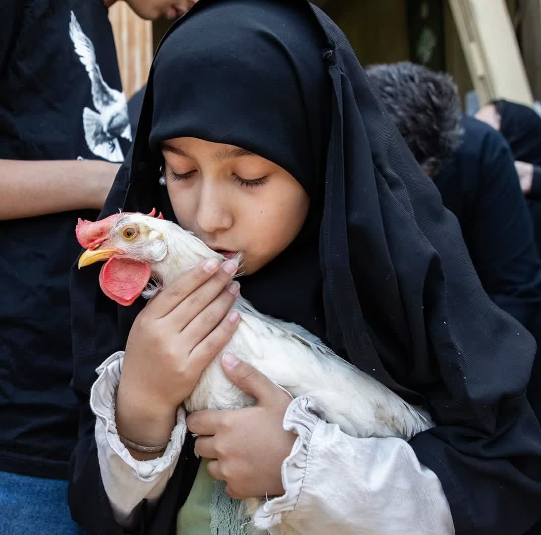 روایتی از ارادت و امید در حسینیه اعظم زنجان